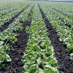 Meet your Posher, Alberto